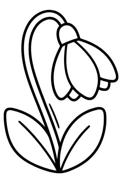 Schneeglöckchen im Frühling: Ausmalbilder Blumen zum kostenlosen Ausdrucken