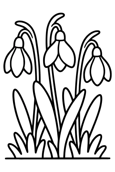 Schneeglöckchen im Gras zum Ausmalen – Ausmalbilder Frühling