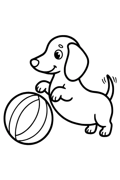 Ausmalbilder Hund: Dackel mit Ball als einfaches Motiv zum Ausmalen
