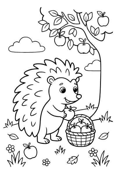 Igel sammelt Äpfel – Ausmalbilder Igel zum Ausdrucken