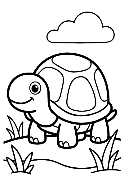 Schildkröte zum Ausmalen – Ausmalbilder Tiere