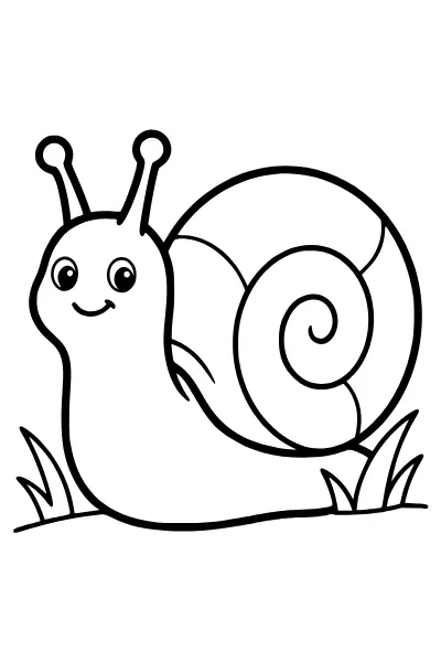 Schnecke zum Ausmalen – Ausmalbilder Tiere