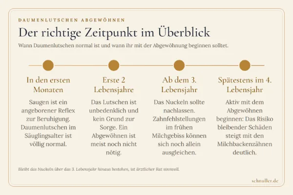 Zeitstrahl zum Daumenlutschen: Vom normalen Reflex der ersten Monate bis zum empfohlenen Abgewöhnen ab 4 Jahren.