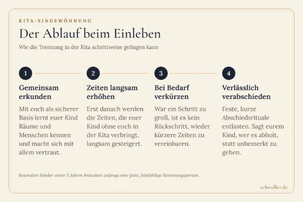 Ablaufgrafik zur Kita-Eingewöhnung in vier Schritten: vom gemeinsamen Erkunden über das Steigern der Trennung bis zum verlässlichen Abschied.
