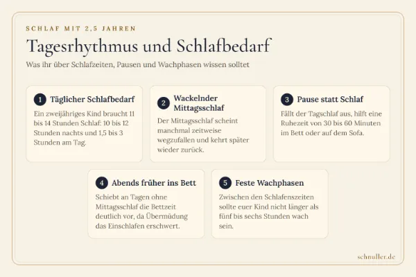 Infografik zum Schlafbedarf mit 2,5 Jahren mit Details zu Gesamtschlaf, Mittagsschlaf, Ruhezeiten und Wachphasen.