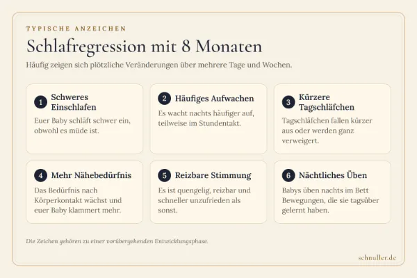 Infografik zu den Anzeichen einer Schlafregression mit 8 Monaten: unruhiger Schlaf, kürzere Nickerchen, Anhänglichkeit und nächtliches Üben.