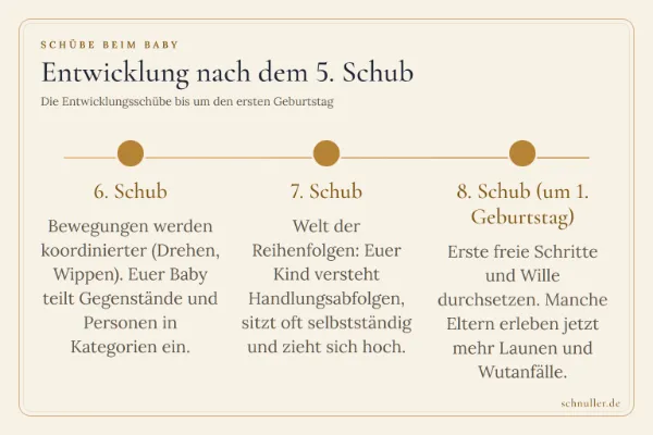 Zeitstrahl zum 6., 7. und 8. Entwicklungsschub beim Baby bis um den ersten Geburtstag.