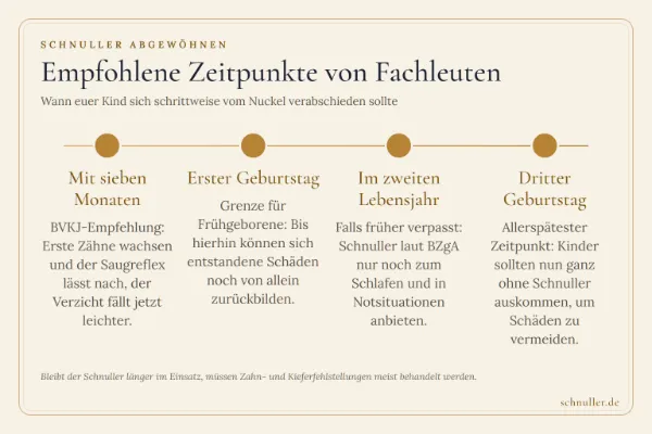 Zeitstrahl zum Schnuller-Abgewöhnen mit Empfehlungen von Fachleuten von sieben Monaten bis zum dritten Geburtstag.