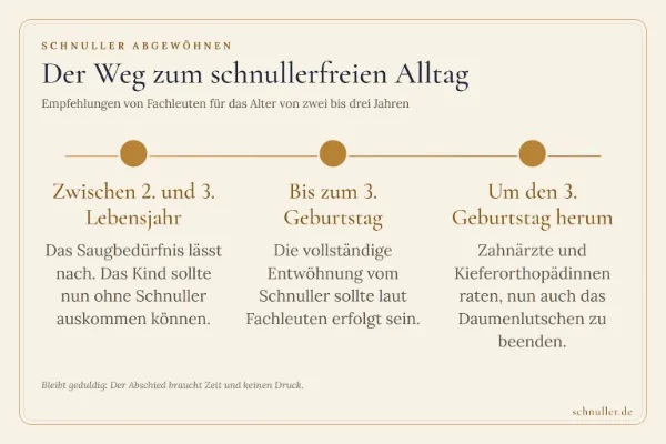 Zeitstrahl zur Schnuller-Entwöhnung: Empfehlungen vom zweiten Lebensjahr bis zum dritten Geburtstag.