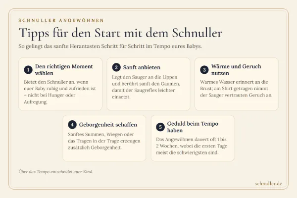 Infografik mit fünf Tipps zum Angewöhnen des Schnullers: passender Moment, sanftes Anbieten, Wärme, Geborgenheit und Geduld.