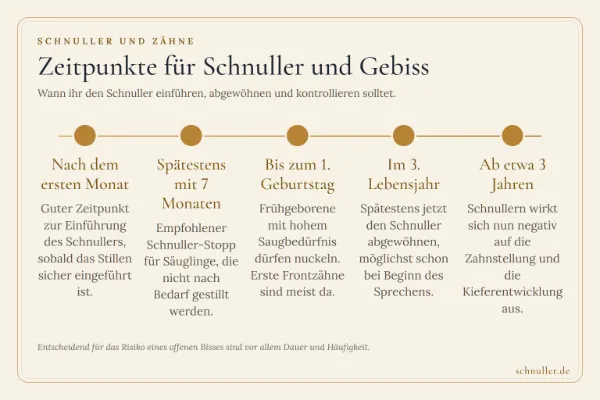 Zeitstrahl zur Schnullernutzung: Vom Start nach dem ersten Monat über die Entwöhnung bis zum Risiko ab drei Jahren.