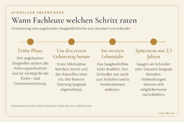 Zeitstrahl zum Schnuller: Empfehlungen von der frühen Babyphase über den 1. Geburtstag bis zum Abschied mit spätestens 2,5 Jahren.