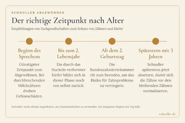 Zeitstrahl zum Abgewöhnen des Schnullers von Sprechbeginn über den 2. Geburtstag bis zum 3. Lebensjahr.