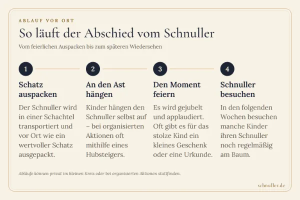 Infografik zum Ablauf am Schnullerbaum: Schnuller auspacken, an den Ast hängen, feiern und später wieder besuchen.