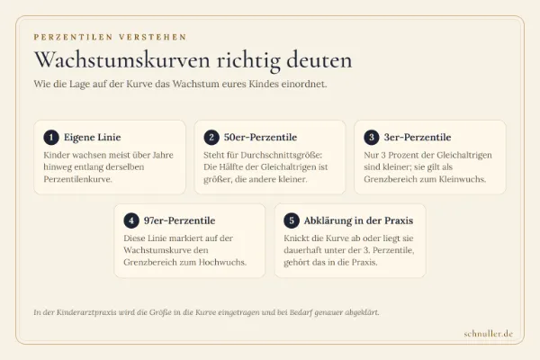 Infografik mit fünf Kacheln zur Bedeutung der Perzentilenkurven beim kindlichen Wachstum und ärztlichen Grenzwerten.